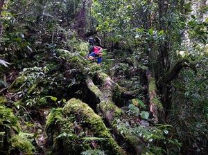 Menyingkap Tabir Mistis dari Bukit Raya dan Gunung Padai Menyingkap Tabir Mistis dari Bukit Raya dan Gunung Padai