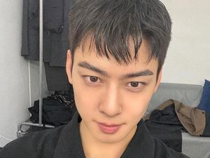 Penjelasan Pakar soal Dugaan Penggelapan Pajak Cha Eun Woo