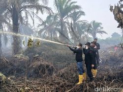 Karhutla di Rohil, Jarak Pandang Terbatas-Warga Terpaksa Mengungsi