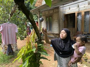 Jeritan Sunyi Khalisa Balita Sumbing di Madiun Butuh Uluran Tangan Jeritan Sunyi Khalisa Balita Sumbing di Madiun Butuh Uluran Tangan