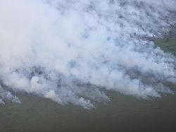 Kepala BNPB: 16 Orang Jadi Tersangka Kasus Karhutla di Riau