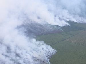 Gubernur Naikkan Status Tanggap Darurat Imbas Karhutla di Riau Meluas