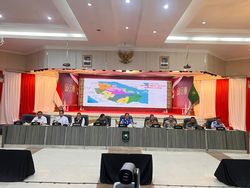 Operasi Modifikasi Cuaca Dimulai, Titik Api di Riau Disebut Berkurang