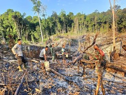 5 Kecamatan di Muba Terjadi Karhutla, Luas Lahan Terbakar 6 Hektare Lebih