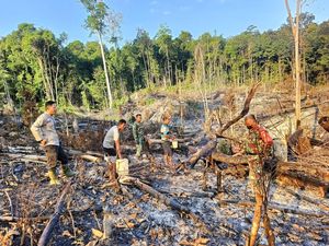 5 Kecamatan di Muba Terjadi Karhutla, Luas Lahan Terbakar 6 Hektare Lebih 5 Kecamatan di Muba Terjadi Karhutla, Luas Lahan Terbakar 6 Hektare Lebih