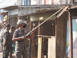 Satpol PP Bogor Bongkar 115 Bangunan Liar di Sekitar Flyover Cileungsi Satpol PP Bogor Bongkar 115 Bangunan Liar di Sekitar Flyover Cileungsi