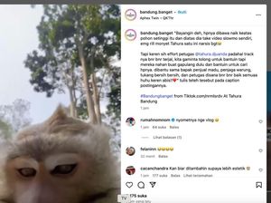 Viral Monyet di Tahura Bandung Ambil Ponsel Pengunjung buat Nge-vlog Viral Monyet di Tahura Bandung Ambil Ponsel Pengunjung buat Nge-vlog