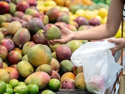 Bukan Pakai Uang, di Kota Ini Bisa Jajan Makanan Pakai Mangga