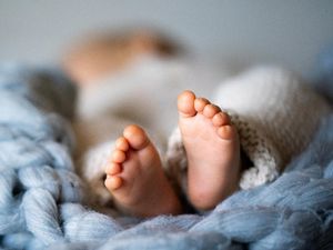 Dari Sales Sembako Jadi Penipu dan Jaringan Penjual Bayi