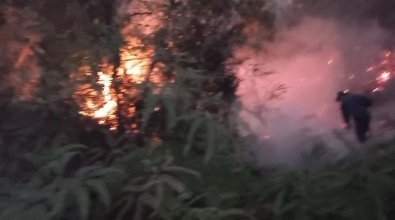 Video: Kabupaten Lima Puluh Kota Berstatus Tanggap Darurat Imbas Karhutla
