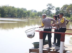 Polda Babel Kembali Lepas Ratusan Ikan-Burung di Taman Bhaypark Polda Babel Kembali Lepas Ratusan Ikan-Burung di Taman Bhaypark