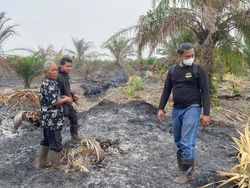 Polisi Tangkap Pembakar 10 Hektare Lahan di Bengkalis Riau