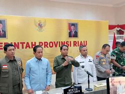 BNPB: Karhutla di Riau Bukan karena Cuaca, tapi Ulah Manusia