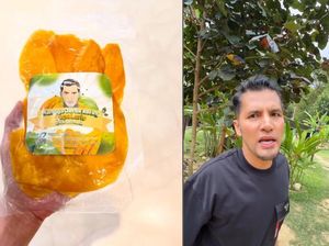 Berkat Jualan Manisan Mangga, Influencer Ini Bisa Beli Pesawat Pribadi Berkat Jualan Manisan Mangga, Influencer Ini Bisa Beli Pesawat Pribadi