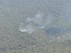 Situasi Terkini Karhutla di Riau: Hotspot Berkurang Drastis, Kini 33 Titik