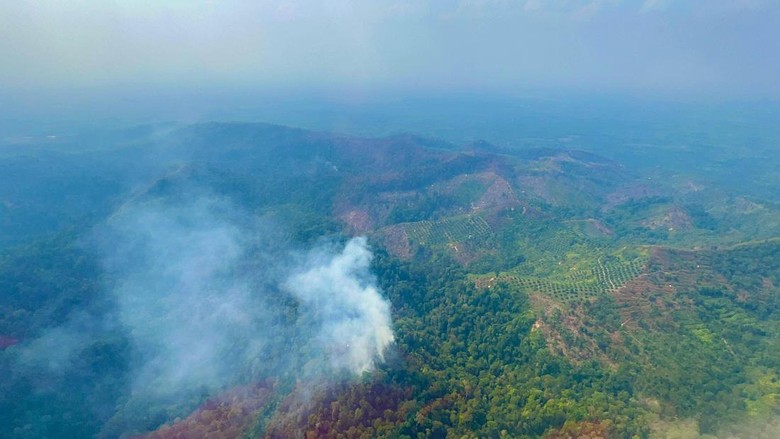 Potensi Karhutla di Riau Meningkat Tajam, Waspada hingga Awal Agustus!