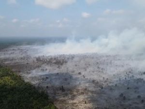 Video: Polri Tetapkan 51 Tersangka Kasus Kebakaran Hutan di Riau Video: Polri Tetapkan 51 Tersangka Kasus Kebakaran Hutan di Riau