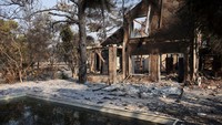 Kebakaran Hutan Dekat Limassol Hanguskan Permukiman Warga