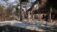 Kebakaran Hutan Dekat Limassol Hanguskan Permukiman Warga
