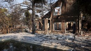 Kebakaran Hutan Dekat Limassol Hanguskan Permukiman Warga