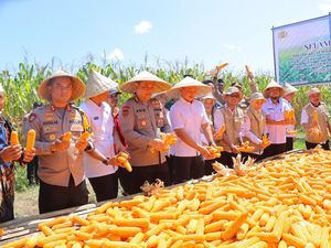 Itwasum Polri Kawal Panen 32 Ton Jagung di Maros Itwasum Polri Kawal Panen 32 Ton Jagung di Maros