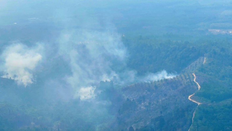 Konsistensi Polda Riau Tindak Pelaku Karhutla, Kini 51 Tersangka Dijerat