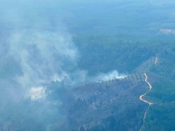 Konsistensi Polda Riau Tindak Pelaku Karhutla, Kini 51 Tersangka Dijerat