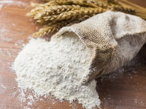 Tepung Terigu Protein Sedang untuk Apa? Yuk Simak Jawabannya! Tepung Terigu Protein Sedang untuk Apa? Yuk Simak Jawabannya!