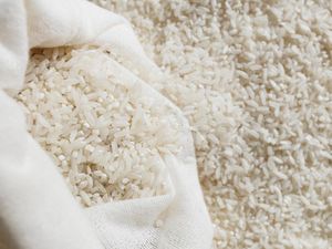 Harga Sembako Jogja Hari Ini 25 Juli 2025: Beras Premium Naik Lagi!