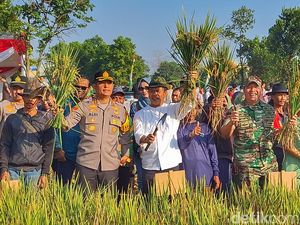 Strategi Pemkab Bandung Tingkatkan Produksi Padi