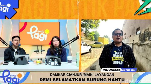 Damkar Cianjur 'Main' Layangan Demi Selamatkan Burung Hantu