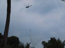 2 Heli Water Bombing Diturunkan Padamkan Karhutla di Rokan Hulu