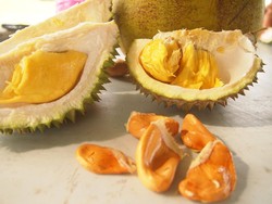 Durian Musang King Palsu Sempat Bikin Resah, Begini Akal Bulus Penjual