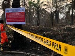 Kementerian LH Segel PT SRL-Setop Operasional Pabrik Sawit Buntut Karhutla di Riau