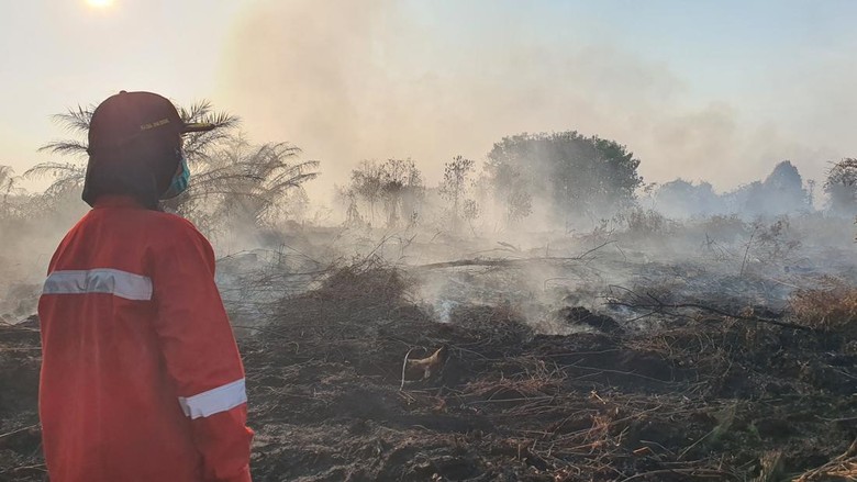 Perjuangan Srikandi Manggala Agni 10 Hari Padamkan Karhutla di Kampar