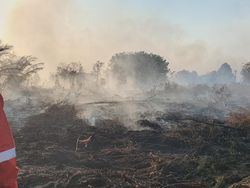 Perjuangan Srikandi Manggala Agni 10 Hari Padamkan Karhutla di Kampar