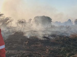Perjuangan Srikandi Manggala Agni 10 Hari Padamkan Karhutla di Kampar Perjuangan Srikandi Manggala Agni 10 Hari Padamkan Karhutla di Kampar