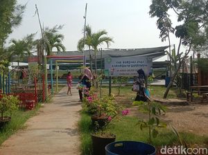 Sindang Indramayu Jadi Desa Wisata, Dulu Sering Gagal Panen Sindang Indramayu Jadi Desa Wisata, Dulu Sering Gagal Panen