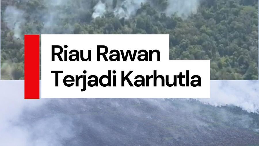 Video: Puncak Kemarau Riau Bakal Terjadi Juli, Potensi Karhutla Meningkat