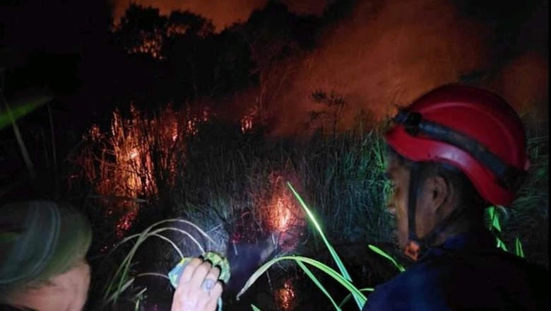 Puluhan Hektare Lahan di 3 Daerah Sumsel Terbakar, Masih Sisakan Asap