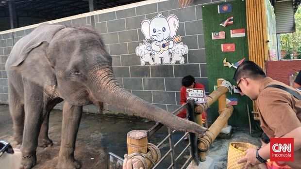 Chang Puak Camp Salah satu tujuan wisata di Hat Yai, Chang Puak Camp yang menawarkan atraksi gajah.