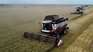 Ladang Gandum Warnai Awal Musim Panen di Rostov
