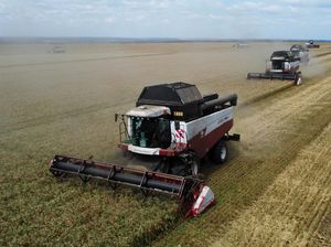 Ladang Gandum Warnai Awal Musim Panen di Rostov Ladang Gandum Warnai Awal Musim Panen di Rostov