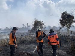 BBS Optimalkan Pemadaman Karhutla di Muaro Jambi Lewat Darat-Udara