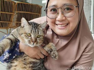Kisah Dua Perempuan Buka Pet Sitter, Hobi Main Hewan Bisa Raup Rp 5 Juta/Bulan Kisah Dua Perempuan Buka Pet Sitter, Hobi Main Hewan Bisa Raup Rp 5 Juta/Bulan