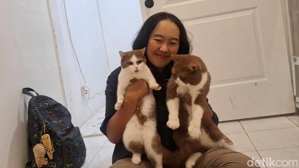 Profesi Unik: Menjadi Pengasuh Hewan Peliharaan di Rumah Pemiliknya