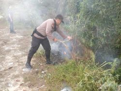 Kesigapan Polisi dan Damkar Padamkan Ilalang di Pekanbaru Riau