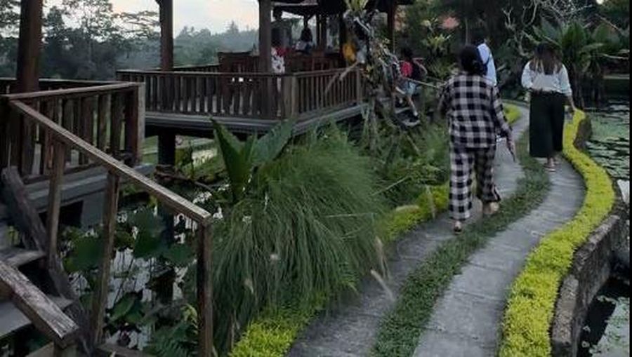 Video: Rekomendasi Tempat Dinner Romantis Ditemani Kunang-kunang di Bali