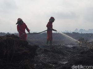 7 Hari Karhutla di Muaro Jambi, Petugas Kesulitan Sumber Air