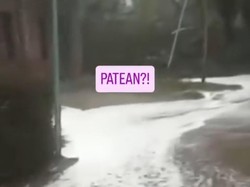 Viral Jalan Tertutup Busa di Patean Kendal, Ini Kata Warga